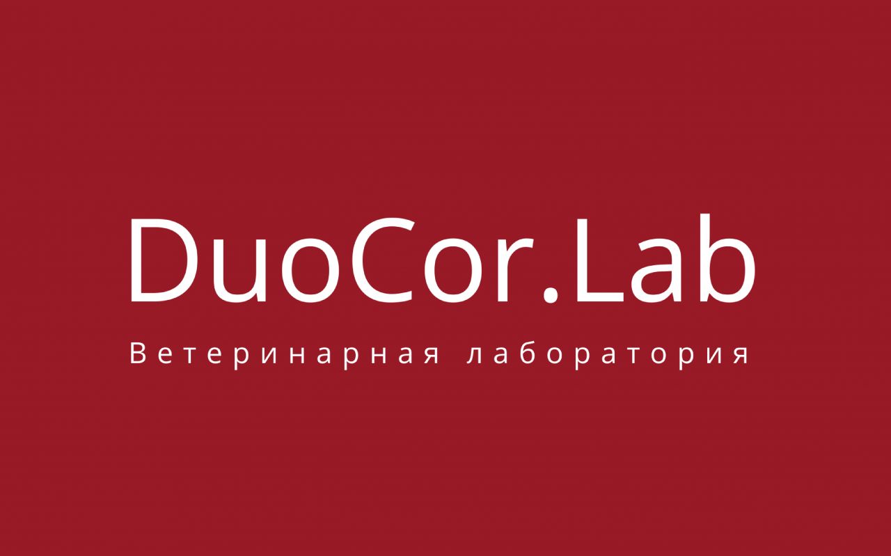 Группа компаний «DuoCor»