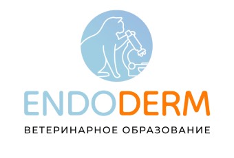 CitoEndoDerm