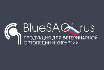 BlueSAO Rus