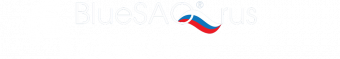BlueSAO Rus